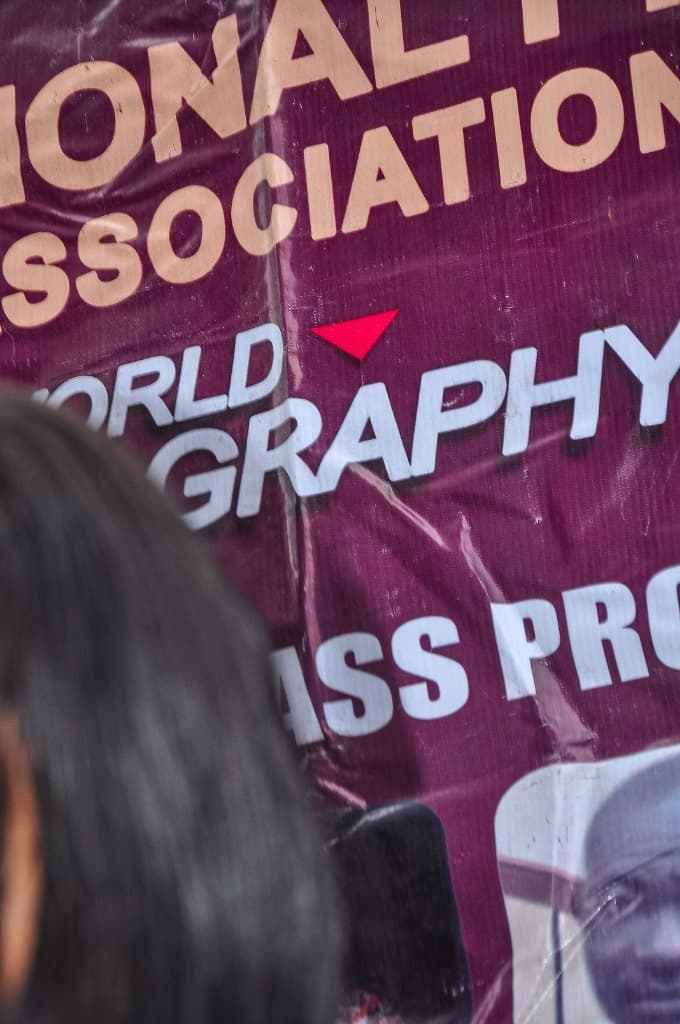 ISPPAN members gathered during a professional meeting session 5.